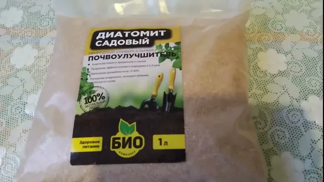 Нажми и смотри