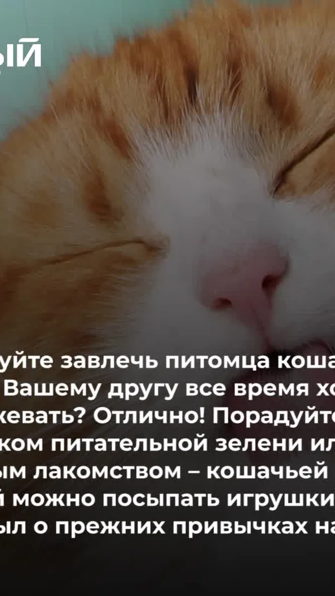 Нажми и смотри