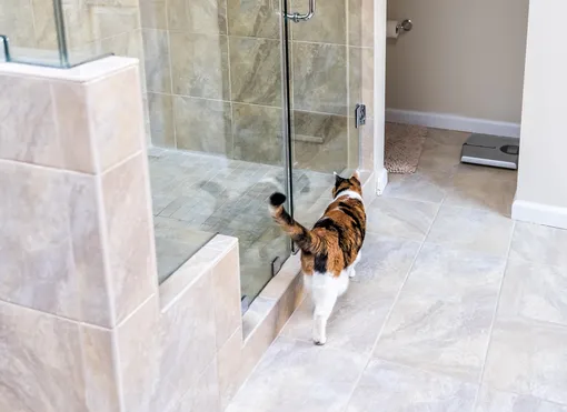 5 мест в доме, где нельзя стелить ковровое покрытие