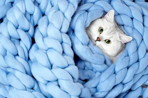 Как правильно хранить вязаные вещи летом Как правильно хранить вязаные вещи летом