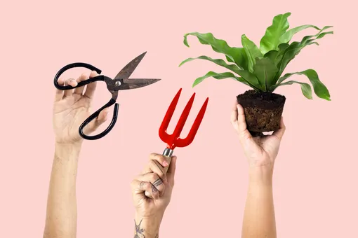 Что делать в начале апреля 2026 года цветоводу, садоводу и огороднику Что делать в начале апреля 2026 года цветоводу, садоводу и огороднику