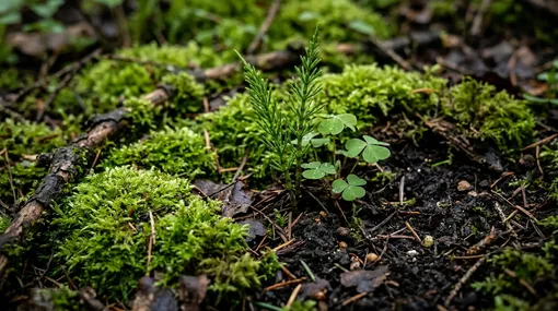 Сорняки-индикаторы кислотности почвы: о чём говорит участок