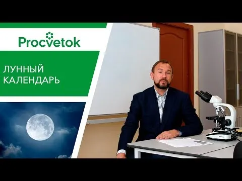 Нажми и смотри