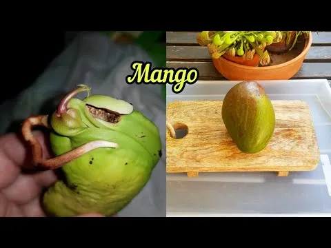 Нажми и смотри Нажми и смотри