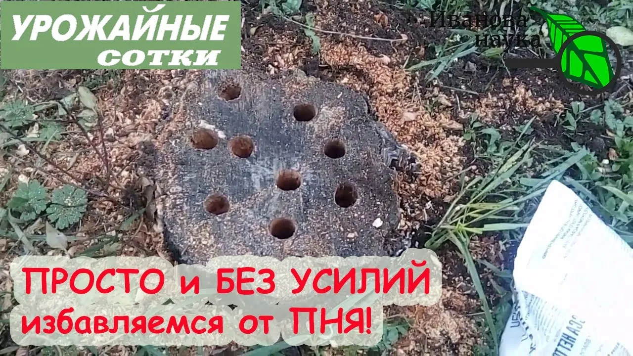 Нажми и смотри Нажми и смотри