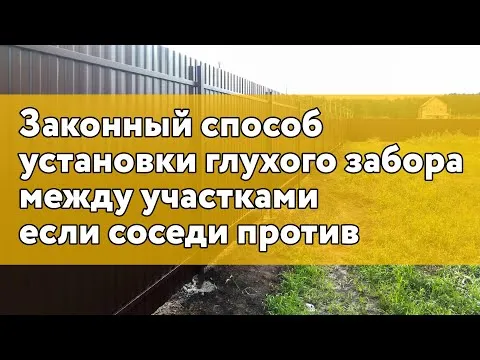 Нажми и смотри