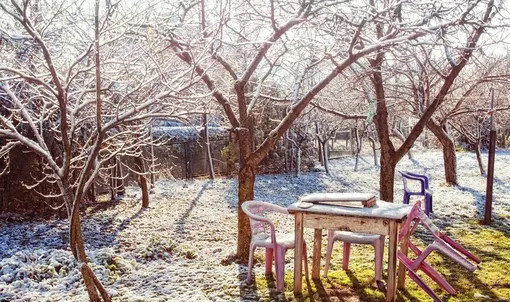 10 дел на даче в ноябре: как сохранить урожай и подготовить сад и огород к зиме