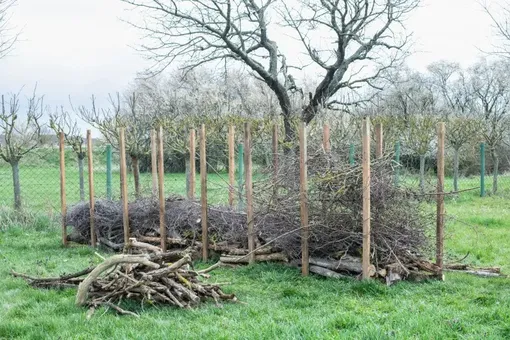 Преимущества мёртвой изгороди для дачного участка