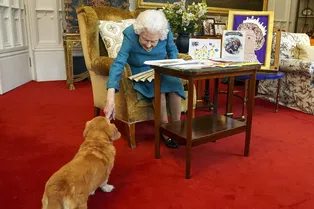 Елизавета II слабеет: королева не может выгуливать своих собак