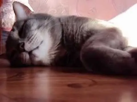 Нажми и смотри