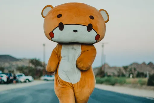 Парень в костюме медведя прошел 770 км ради благого дела Парень в костюме медведя прошел 770 км ради благого дела