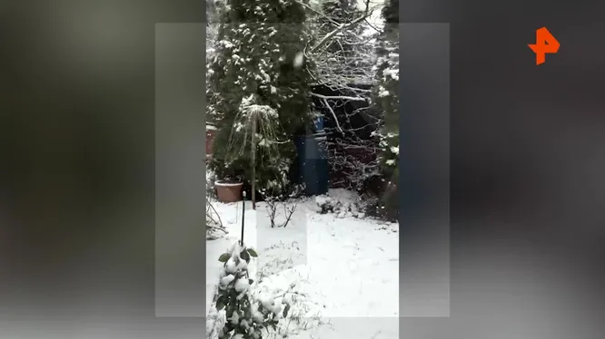 Нажми и смотри Нажми и смотри