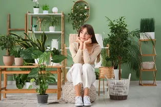 5 комнатных растений, которые легко размножить дома