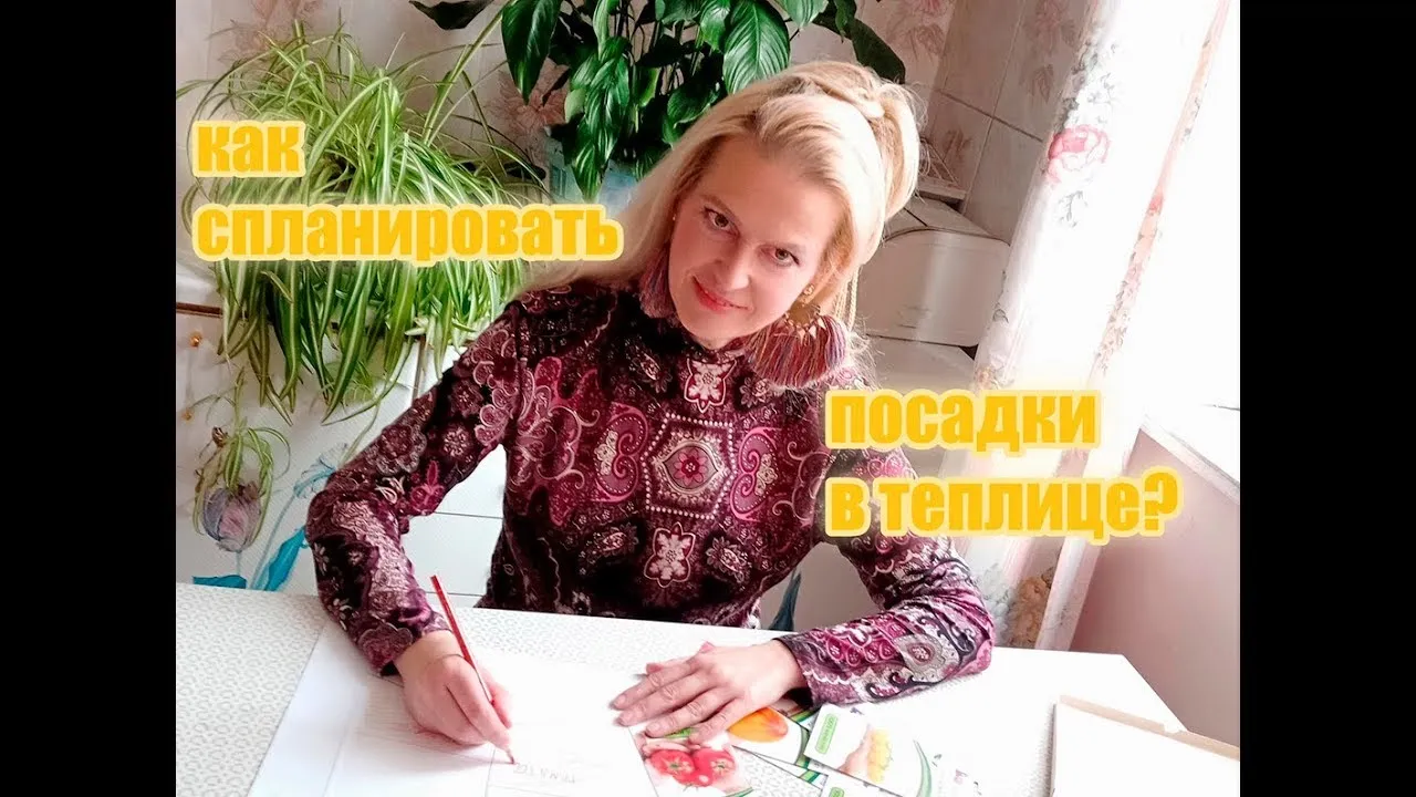 Нажми и смотри