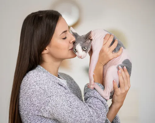 кошка ревнует