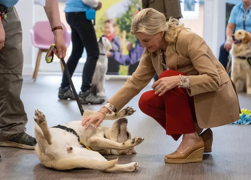 Софи, герцогиня Эдинбургская Софи, герцогиня Эдинбургская