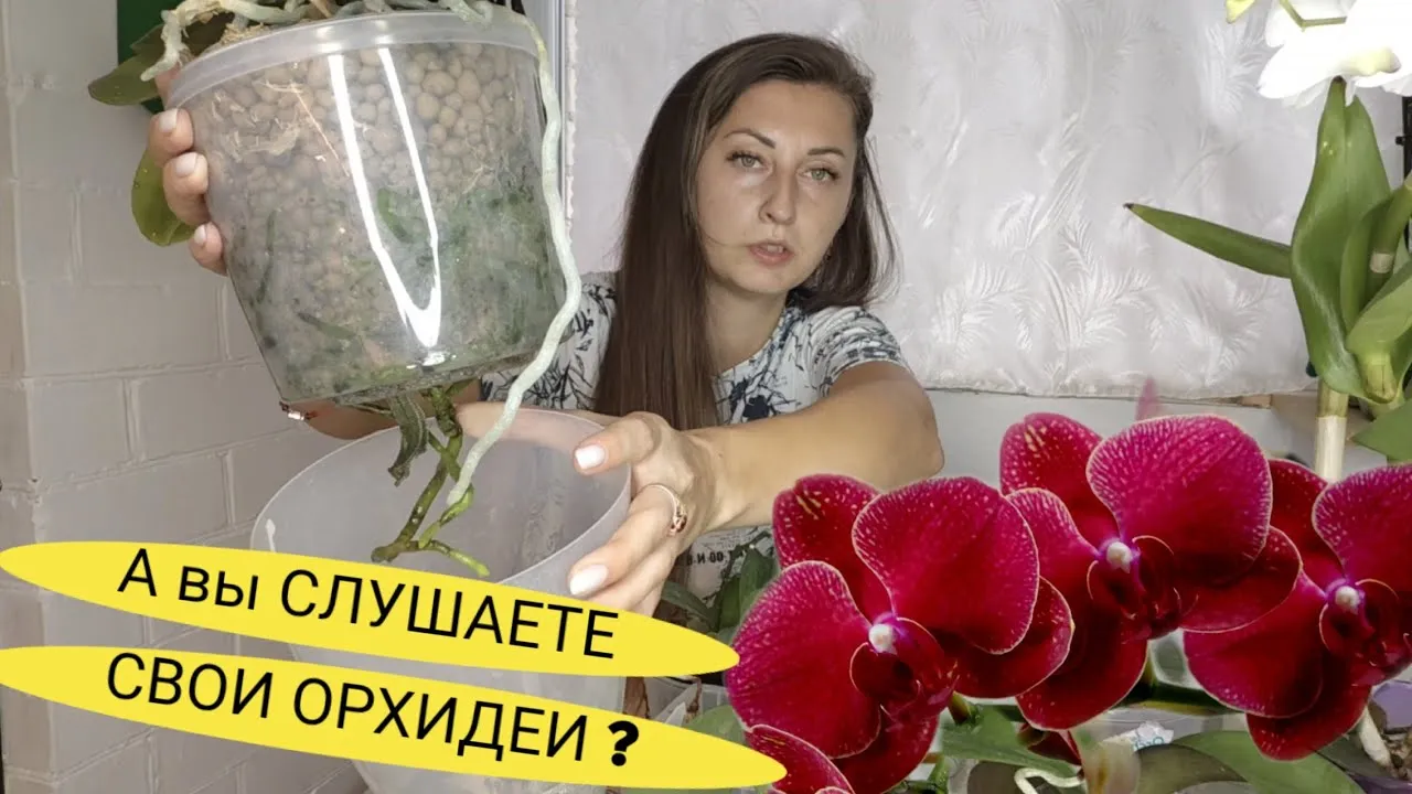 Нажми и смотри Нажми и смотри