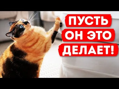 Нажми и смотри