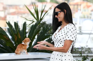 Северная инуитка, лабрадор, чихуахуа: каких собак выбрали Меган Маркл, Деми Мур и другие звёзды?