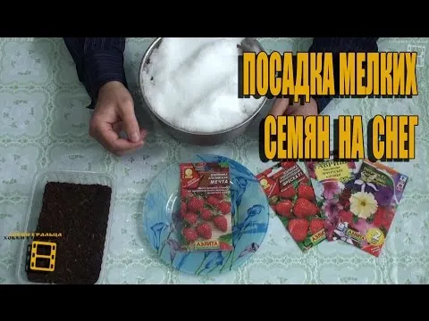 Нажми и смотри