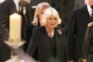 Карл III посвятил королеву Камиллу в шотландский орден Чертополоха — что это значит? Карл III посвятил королеву Камиллу в шотландский орден Чертополоха — что это значит?