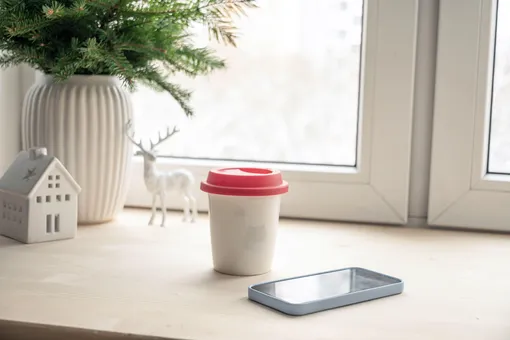 14 вещей, которые нельзя хранить на подоконнике фото