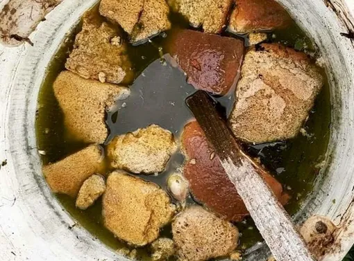 Хлебная подкормка