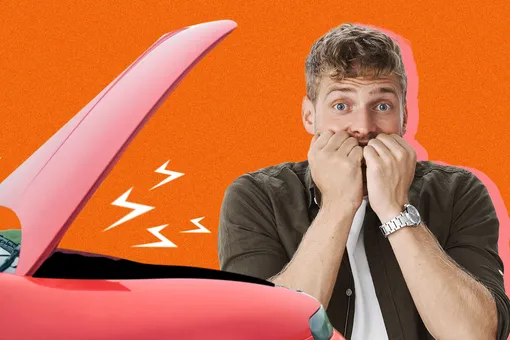 Шипящий «бонус»: подкапотный житель чуть не довёл до инфаркта покупателя автомобиля Шипящий «бонус»: подкапотный житель чуть не довёл до инфаркта покупателя автомобиля