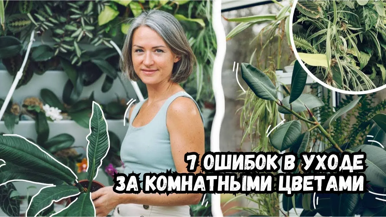 Нажми и смотри Нажми и смотри
