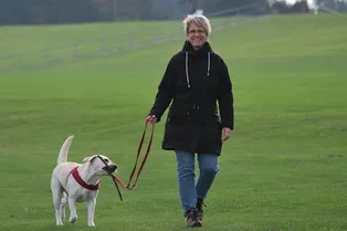 Кинологи рассказали, как понять, что у собаки начался период полового созревания