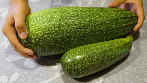 Что делать с переросшими кабачками Что делать с переросшими кабачками