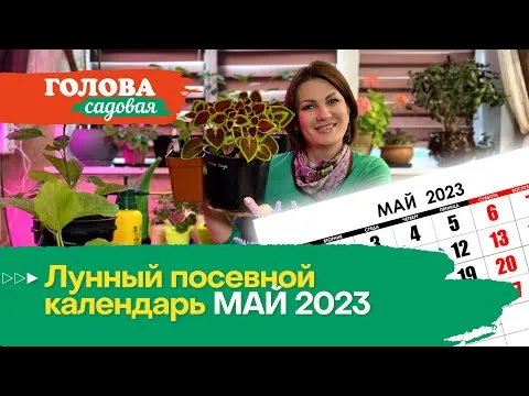 Нажми и смотри