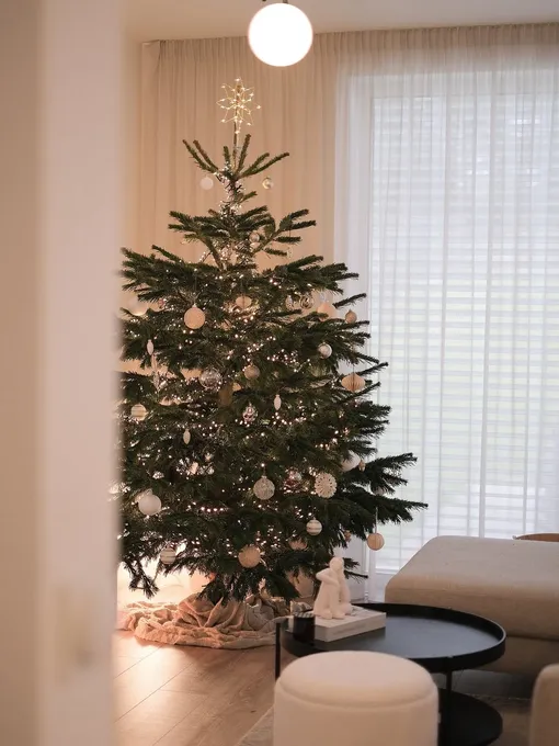 Минималистичная елочка в скандинавском стиле станет отличным выбором для украшения небольшой квартиры и гостиной для встречи Нового года 2026. Светлые оттенки визуально не «сжирают» драгоценное пространство. Минималистичная елочка в скандинавском стиле станет отличным выбором для украшения небольшой квартиры и гостиной для встречи Нового года 2026. Светлые оттенки визуально не «сжирают» драгоценное пространство.