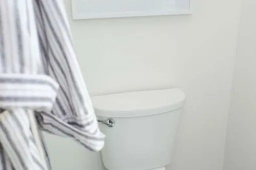 Как не смущать гостей, которые воспользовались вашим туалетом Как не смущать гостей, которые воспользовались вашим туалетом