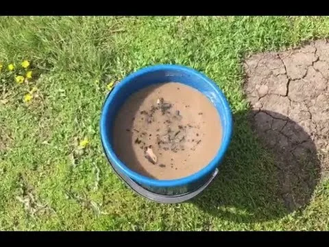 Нажми и смотри