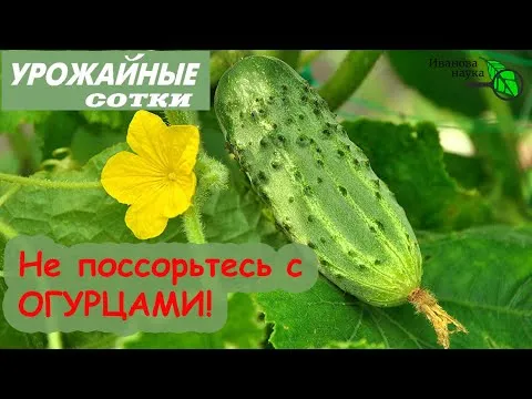 Нажми и смотри