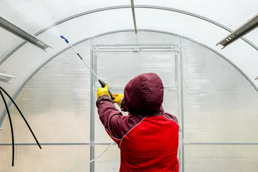 Как продезинфицировать каркас теплицы без вреда для конструкции Как продезинфицировать каркас теплицы без вреда для конструкции