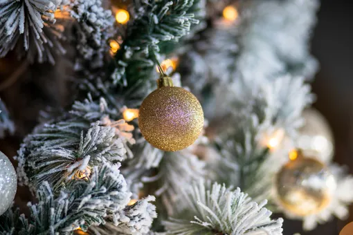 Россияне начали отказываться от живых ёлок в пользу искусственных Россияне начали отказываться от живых ёлок в пользу искусственных