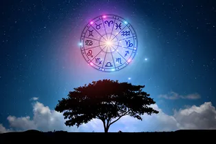 Лунный гороскоп на 4 мая: смена обстановки для Водолеев, прибыть для Тельцов, юридические разбирательства для Весов