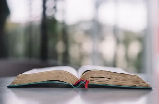 Большинство россиян во время цифрового детокса выбирают чтение