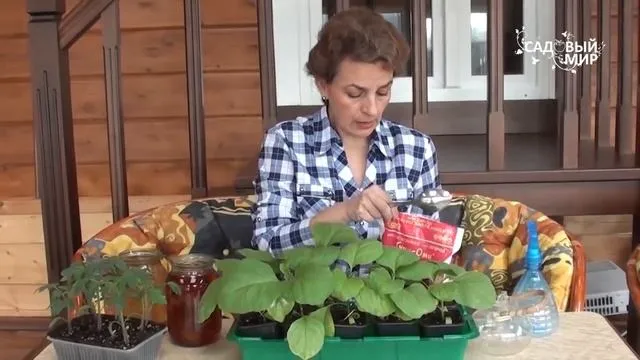 Нажми и смотри
