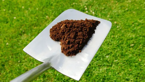 Подкормка яблонь осенью Подкормка яблонь осенью