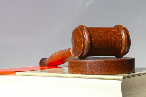 В Курской области мать подожгла 8-летнего сына. Мальчик погиб В Курской области мать подожгла 8-летнего сына. Мальчик погиб