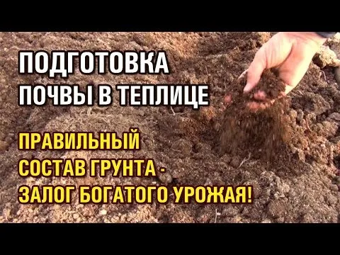 Нажми и смотри