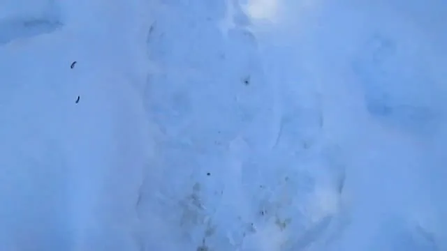 Нажми и смотри