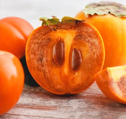 сорта хурмы с описанием и фото