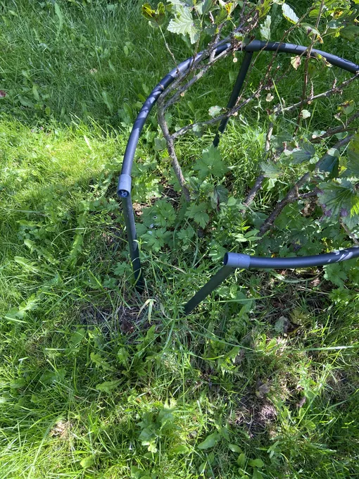 кустодержатель