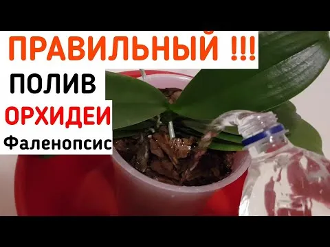 Нажми и смотри