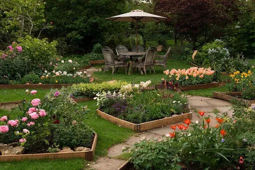 Что можно вырастить из семян с января по декабрь?