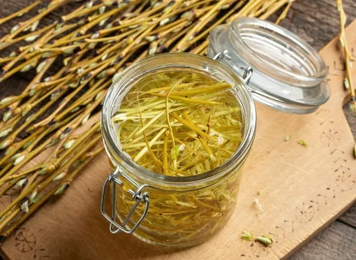 Ивовая вода